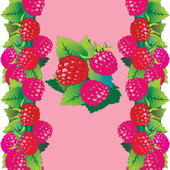 Raspberries on pink background. Place for your text.