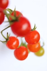 マイクロトマト