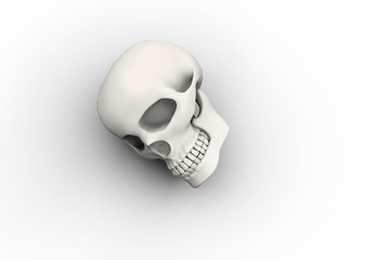 Skull