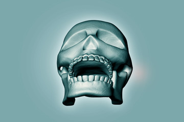 Skull