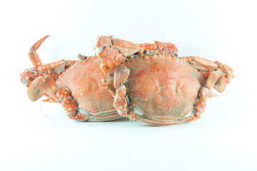 crab