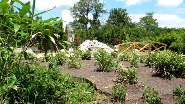 source et jardin aquatique