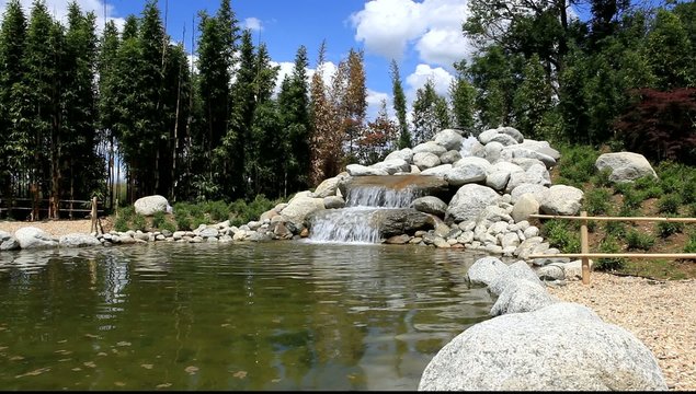 petite cascade de jardin aquatique