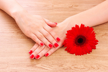 Obraz na płótnie Canvas beautiful red manicure and flower on a wooden background