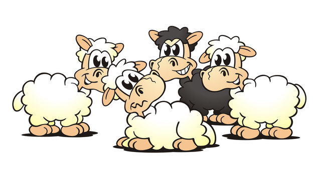 Sheep Meeting
