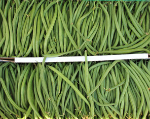 Gemüse: Bohnen