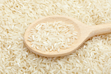 rice food