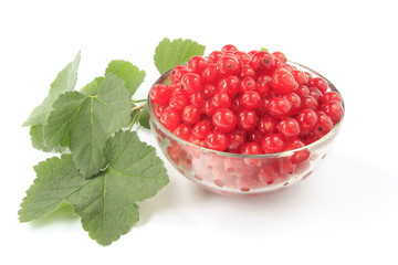 Rote Johannisbeeren