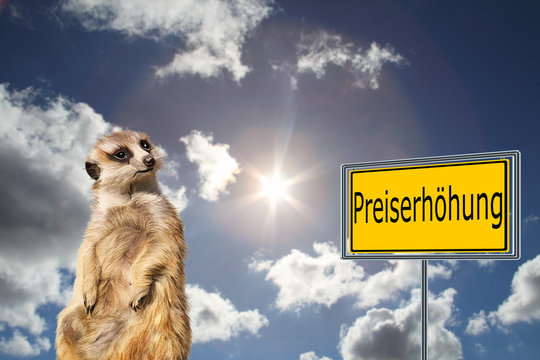 Preiserh&ouml;hungen