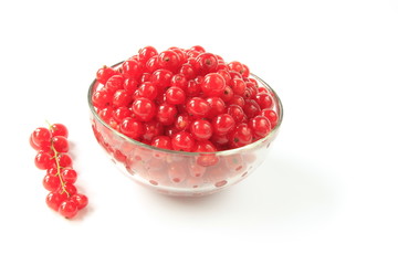 Rote Johannisbeeren