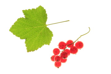 Johannisbeere und Blatt