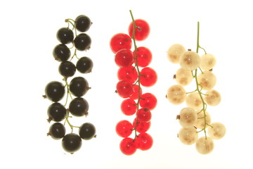 Johannisbeeren