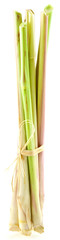 Fototapeta premium citronnelle