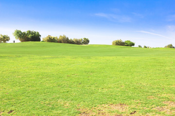 Fototapeta premium Golf Club Landscape