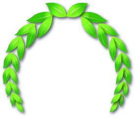 Illustration Lorbeer