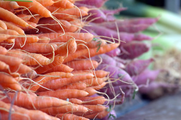 Fresh Carrots