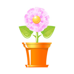 Vector illustration of growing plant with pink flower in pot.