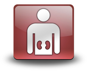 Red 3D Effect Icon 