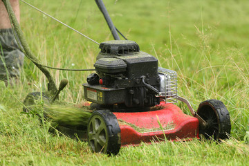 Mowing