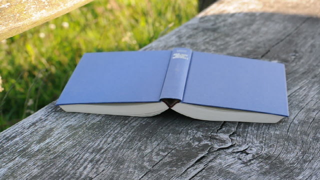 Buch auf Holzbank im Sommer