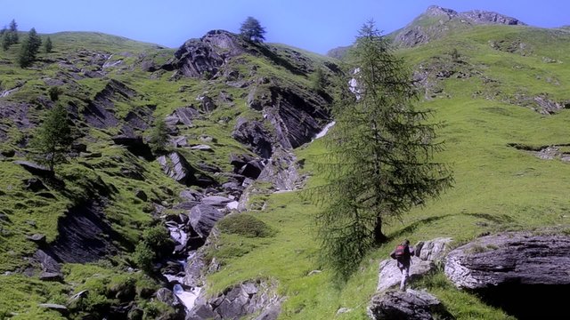escursionista in paradiso alpino