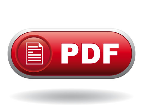 PDF ICON