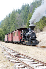 Fototapeta na wymiar steam train, Ciernohronska Railway, Slovakia