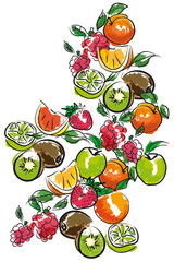 MONTAGE FRUITS