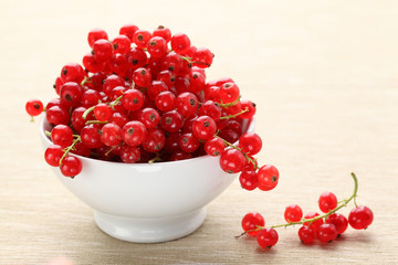 ribes rosso,salute,medicina,omeopatia