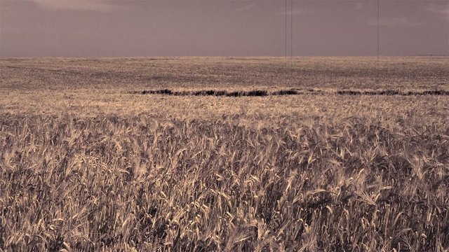 Agriculture