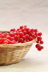 grappolo di ribes rosso per dessert