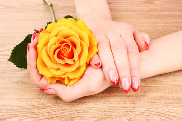 Obraz na płótnie Canvas beautiful woman's hands and an orange rose