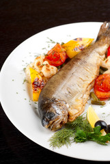 trout fish