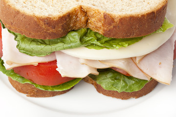 A large turkey sandwhich