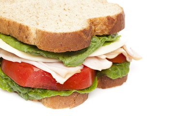 A large turkey sandwhich
