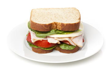 A large turkey sandwhich