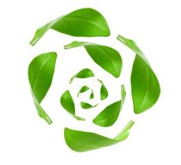 eco green energy recycling isolated on white