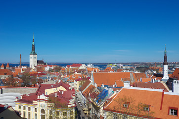 Obraz premium Tallinn's old town