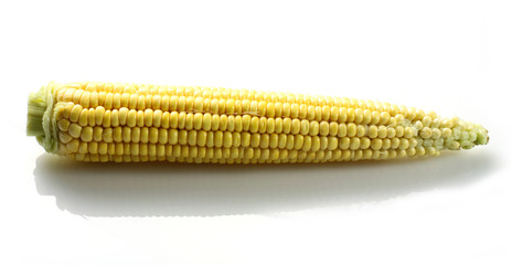 Pannocchia - Cob