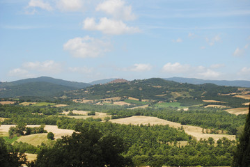 Fototapeta premium toscana