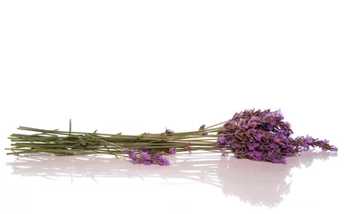 Abwaschbare Fototapete Lavendel frischer Lavendel