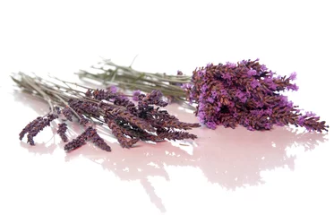 Foto auf Acrylglas Lavendel frischer Lavendel - trockener Lavendel