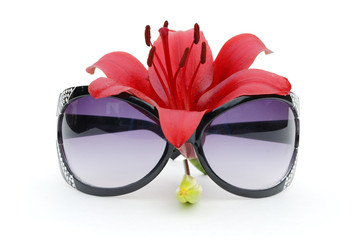 spectacles and red lily