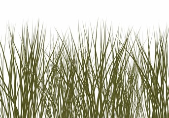 blades of grass