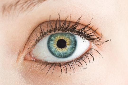 Macro photo of a female eye