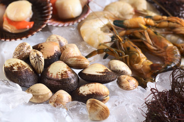 Raw mussels and various other seafood