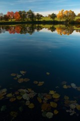 Autumn pond