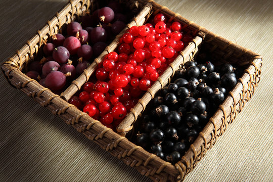 frutta tris di bosco uva ribes rosso nero