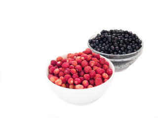 wild strawberry and blueberry