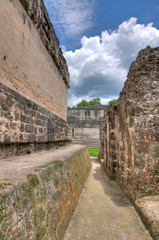 Fototapeta na wymiar Ruiny Majów Tikal w Belize